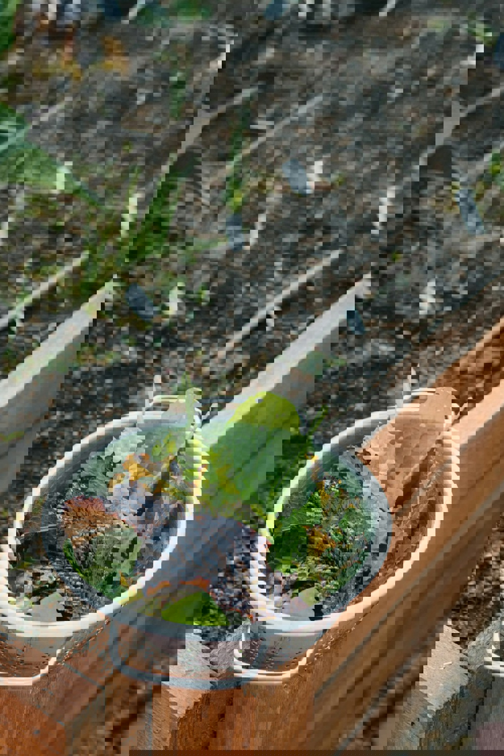 Meg Macdonald 9 Dg6qvgeem Unsplash (1) Meg Macdonald 9 Dg6qvgeem Unsplash (1)