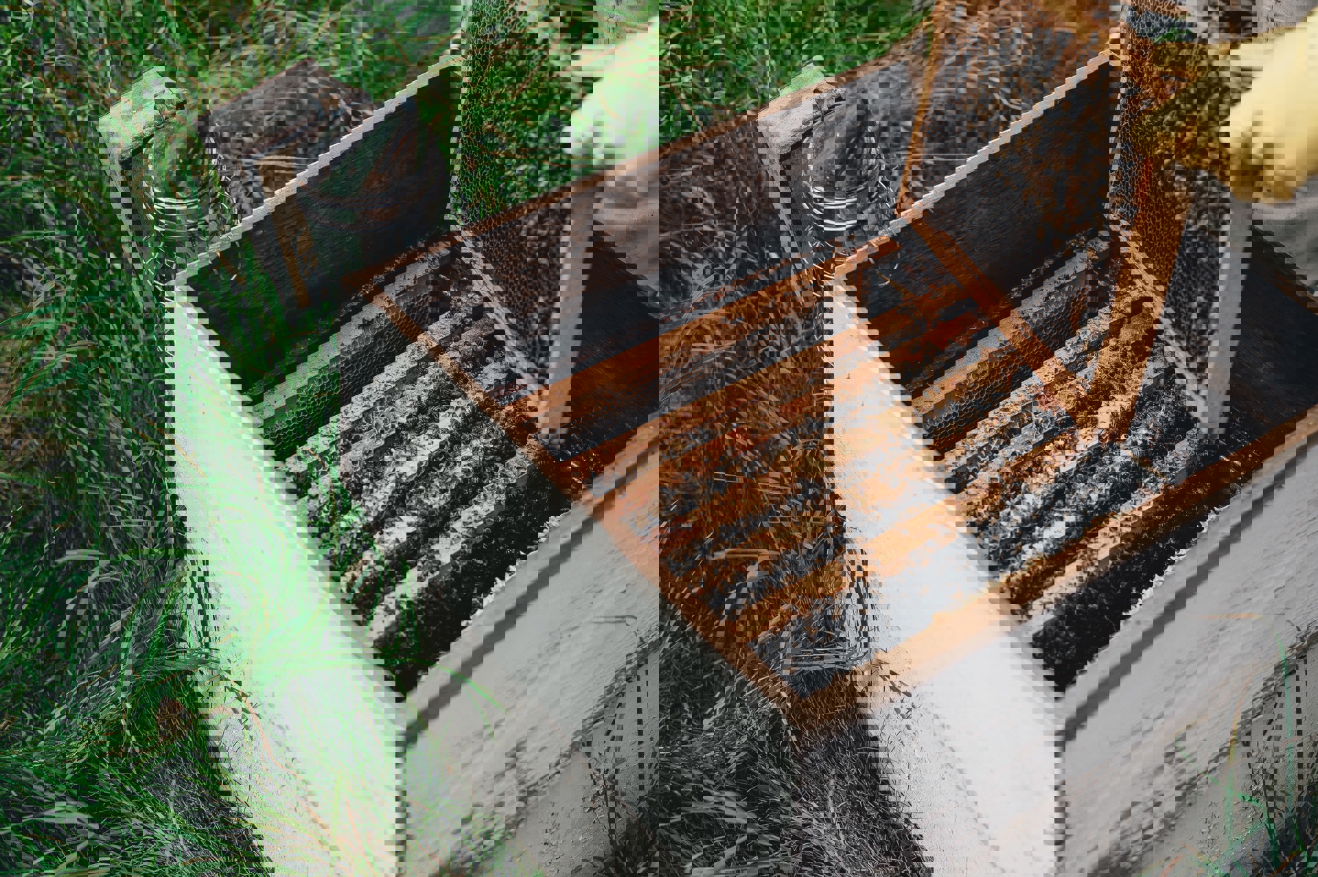 Annie Spratt Xltep0u29l4 Unsplash Annie Spratt Xltep0u29l4 Unsplash