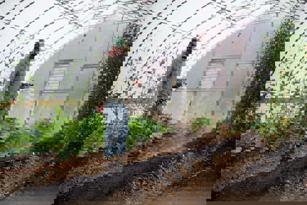 Zoe Schaeffer Sid6uufcyt8 Unsplash Zoe Schaeffer Sid6uufcyt8 Unsplash