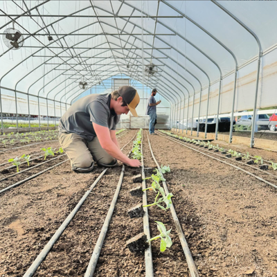 2 ACRE FARM 2 ACRE FARM